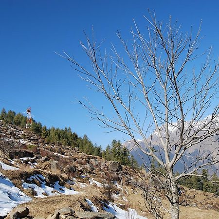 Auli Resort Joshimath Bagian luar foto